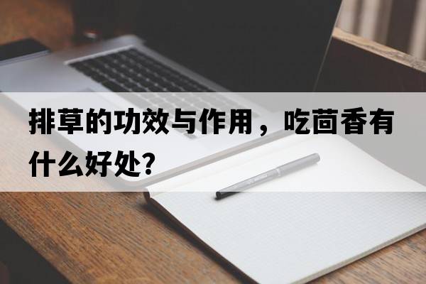 排草的功效與作用，吃茴香有什么好處？