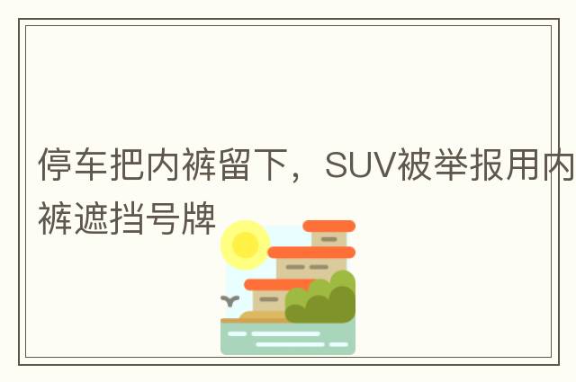 停車(chē)把內褲留下，SUV被舉報用內褲遮擋號牌