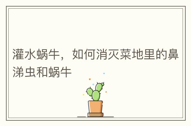 灌水蝸牛，如何消滅菜地里的鼻涕蟲(chóng)和蝸牛