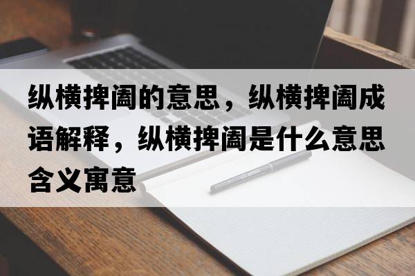 縱橫捭闔的意思，縱橫捭闔成語(yǔ)解釋?zhuān)v橫捭闔是什么意思含義寓意