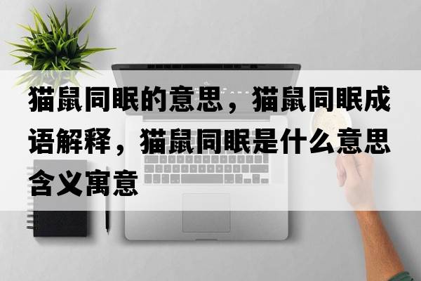 貓鼠同眠的意思，貓鼠同眠成語(yǔ)解釋?zhuān)埵笸呤鞘裁匆馑己x寓意