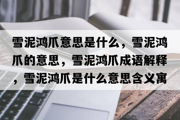 雪泥鴻爪意思是什么，雪泥鴻爪的意思，雪泥鴻爪成語(yǔ)解釋?zhuān)┠帏欁κ鞘裁匆馑己x寓意