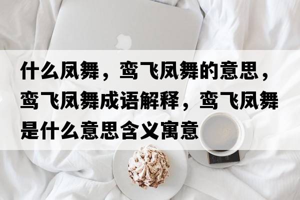 什么鳳舞，鸞飛鳳舞的意思，鸞飛鳳舞成語(yǔ)解釋?zhuān)[飛鳳舞是什么意思含義寓意