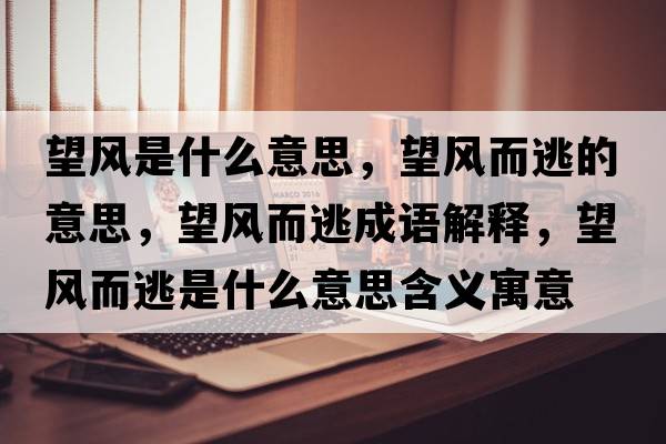 望風(fēng)是什么意思，望風(fēng)而逃的意思，望風(fēng)而逃成語(yǔ)解釋?zhuān)L(fēng)而逃是什么意思含義寓意
