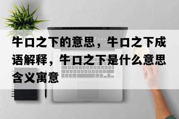 ?？谥碌囊馑?，?？谥鲁烧Z(yǔ)解釋?zhuān)？谥率鞘裁匆馑己x寓意