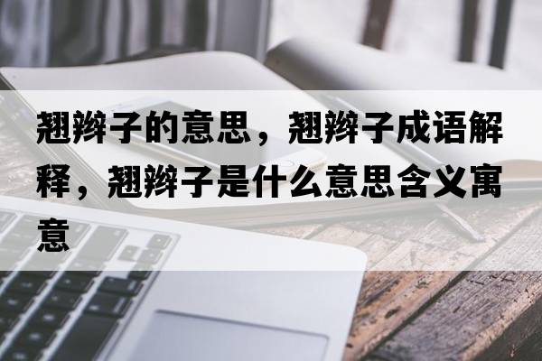 翹辮子的意思，翹辮子成語(yǔ)解釋?zhuān)N辮子是什么意思含義寓意