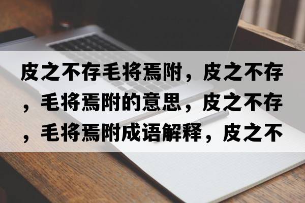 皮之不存毛將焉附，皮之不存，毛將焉附的意思，皮之不存，毛將焉附成語(yǔ)解釋?zhuān)ぶ淮?，毛將焉附是什么意思含義寓意