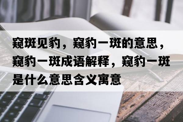窺斑見(jiàn)豹，窺豹一斑的意思，窺豹一斑成語(yǔ)解釋?zhuān)Q豹一斑是什么意思含義寓意