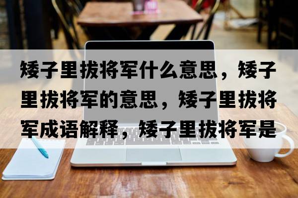 矮子里拔將軍什么意思，矮子里拔將軍的意思，矮子里拔將軍成語(yǔ)解釋?zhuān)永锇螌④娛鞘裁匆馑己x寓意
