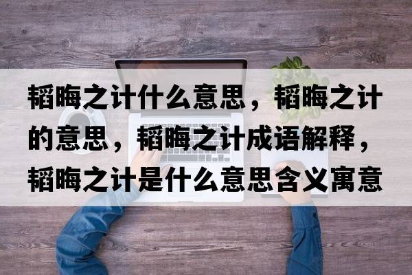 韜晦之計什么意思，韜晦之計的意思，韜晦之計成語(yǔ)解釋?zhuān)w晦之計是什么意思含義寓意