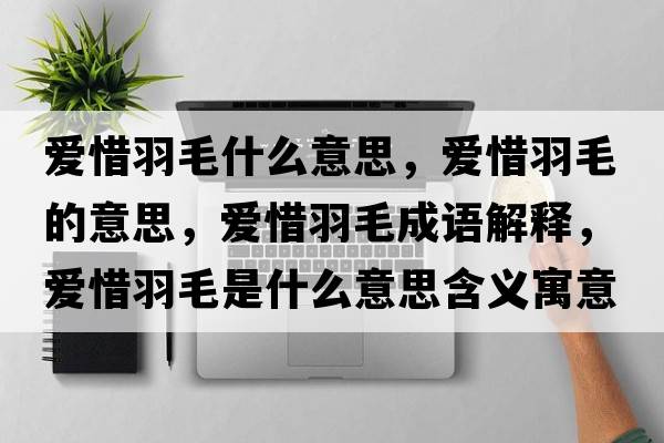 愛(ài)惜羽毛什么意思，愛(ài)惜羽毛的意思，愛(ài)惜羽毛成語(yǔ)解釋?zhuān)瑦?ài)惜羽毛是什么意思含義寓意