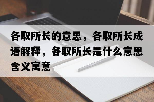 各取所長(cháng)的意思，各取所長(cháng)成語(yǔ)解釋?zhuān)魅∷L(cháng)是什么意思含義寓意