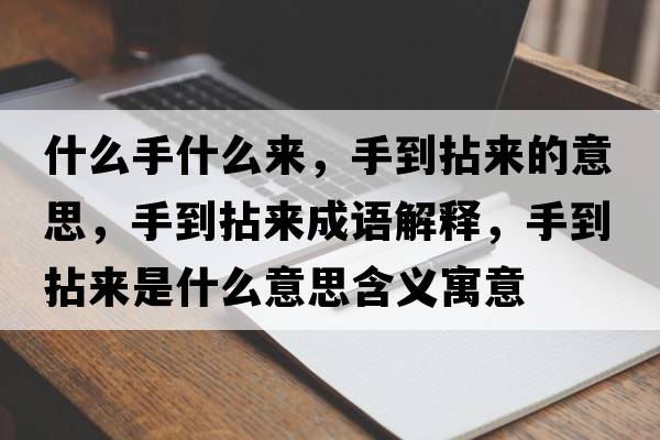 什么手什么來(lái)，手到拈來(lái)的意思，手到拈來(lái)成語(yǔ)解釋?zhuān)值侥閬?lái)是什么意思含義寓意
