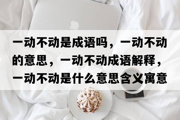 一動(dòng)不動(dòng)是成語(yǔ)嗎，一動(dòng)不動(dòng)的意思，一動(dòng)不動(dòng)成語(yǔ)解釋?zhuān)粍?dòng)不動(dòng)是什么意思含義寓意