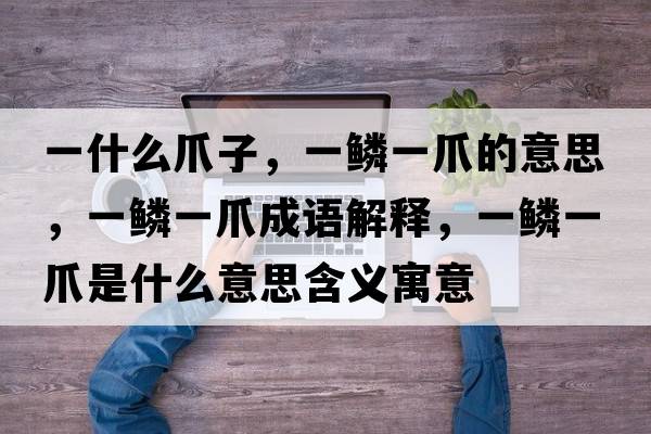 一什么爪子，一鱗一爪的意思，一鱗一爪成語(yǔ)解釋?zhuān)击[一爪是什么意思含義寓意