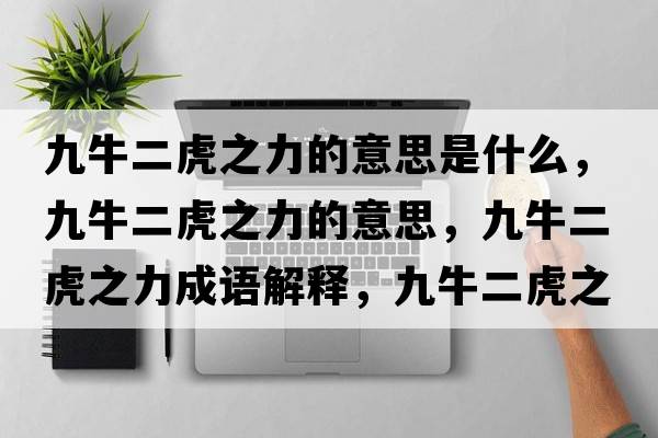 九牛二虎之力的意思是什么，九牛二虎之力的意思，九牛二虎之力成語(yǔ)解釋?zhuān)排６⒅κ鞘裁匆馑己x寓意