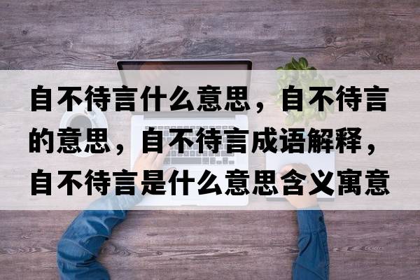 自不待言什么意思，自不待言的意思，自不待言成語(yǔ)解釋?zhuān)圆淮允鞘裁匆馑己x寓意