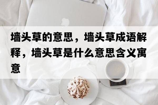 墻頭草的意思，墻頭草成語(yǔ)解釋?zhuān)瑝︻^草是什么意思含義寓意