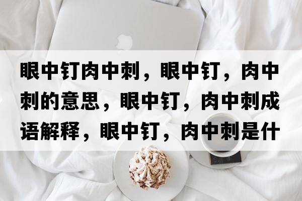 眼中釘肉中刺，眼中釘，肉中刺的意思，眼中釘，肉中刺成語(yǔ)解釋?zhuān)壑嗅?，肉中刺是什么意思含義寓意