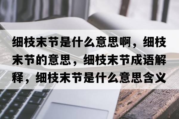 細枝末節是什么意思啊，細枝末節的意思，細枝末節成語(yǔ)解釋?zhuān)氈δ┕澥鞘裁匆馑己x寓意