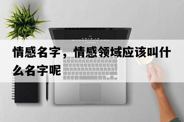 情感名字，情感領(lǐng)域應該叫什么名字呢