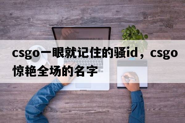csgo一眼就記住的騷id，csgo驚艷全場(chǎng)的名字