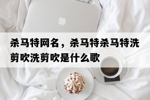 殺馬特網(wǎng)名，殺馬特殺馬特洗剪吹洗剪吹是什么歌