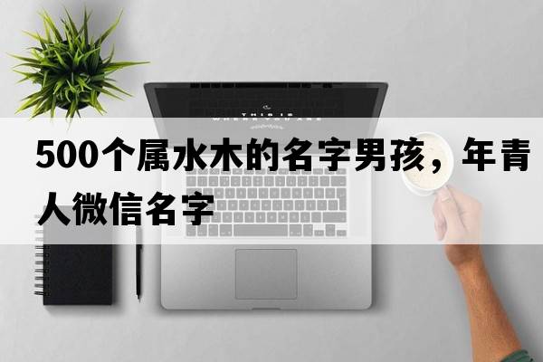 500個(gè)屬水木的名字男孩，年青人微信名字
