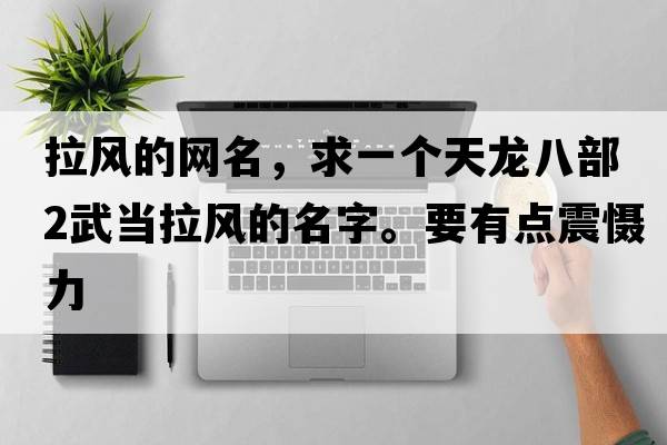 拉風(fēng)的網(wǎng)名，求一個(gè)天龍八部2武當拉風(fēng)的名字。要有點(diǎn)震懾力