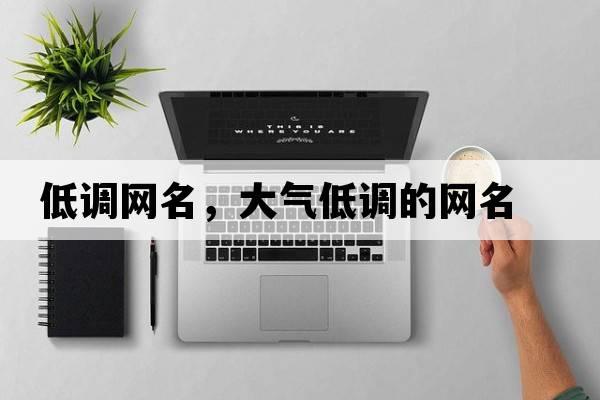 低調網(wǎng)名，大氣低調的網(wǎng)名