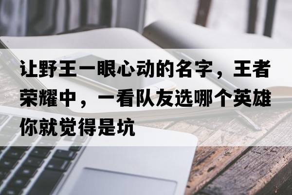 讓野王一眼心動(dòng)的名字，王者榮耀中，一看隊友選哪個(gè)英雄你就覺(jué)得是坑