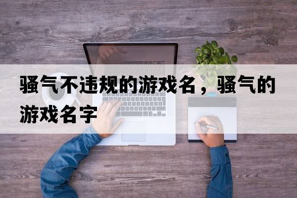 騷氣不違規的游戲名，騷氣的游戲名字