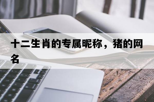 十二生肖的專(zhuān)屬昵稱(chēng)，豬的網(wǎng)名