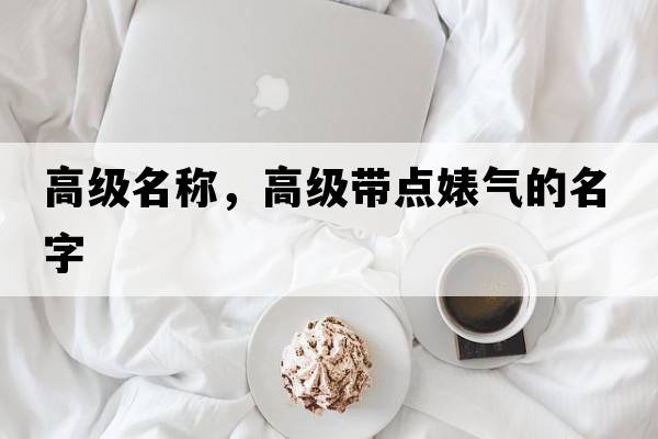 高級名稱(chēng)，高級帶點(diǎn)婊氣的名字