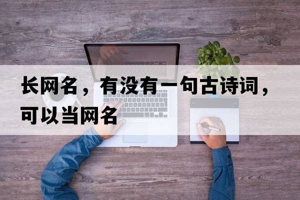 長(cháng)網(wǎng)名，有沒(méi)有一句古詩(shī)詞，可以當網(wǎng)名