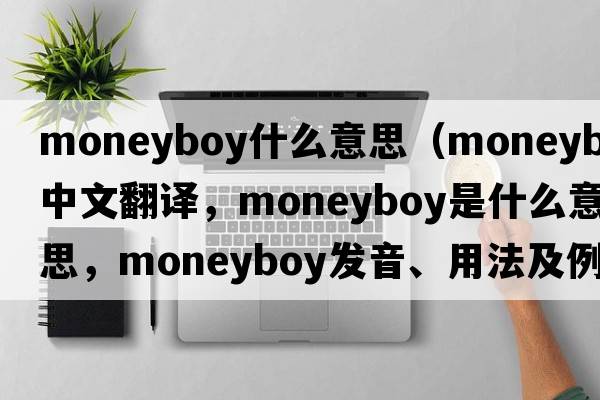 moneyboy什么意思（moneyboy中文翻譯，moneyboy是什么意思，moneyboy發(fā)音、用法及例句）