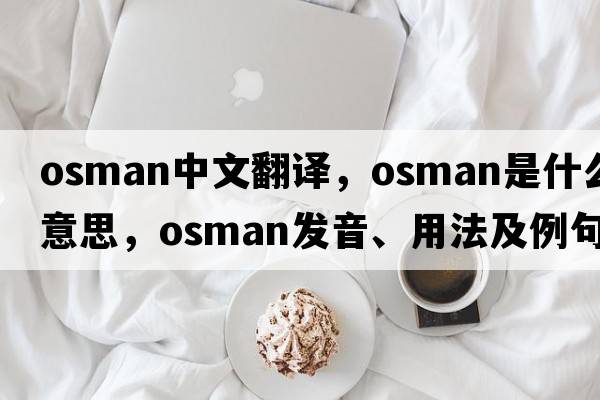 Osman中文翻譯，Osman是什么意思，Osman發(fā)音、用法及例句