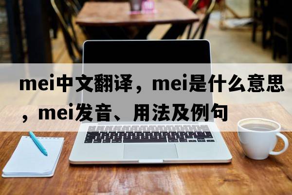 mei中文翻譯，mei是什么意思，mei發(fā)音、用法及例句