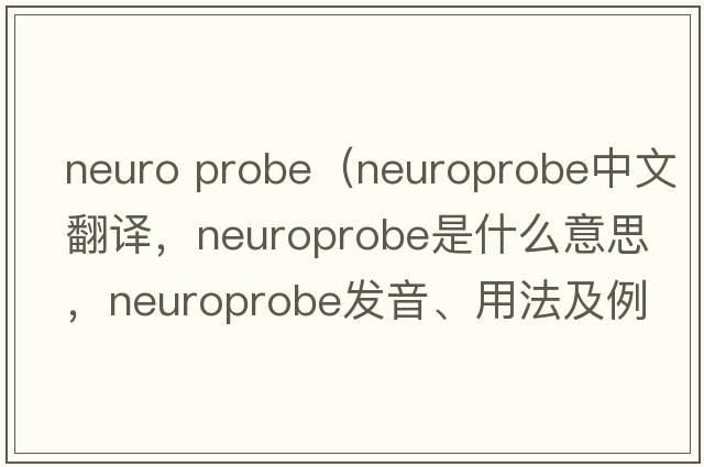 Neuro Probe（neuroprobe中文翻譯，neuroprobe是什么意思，neuroprobe發(fā)音、用法及例句）