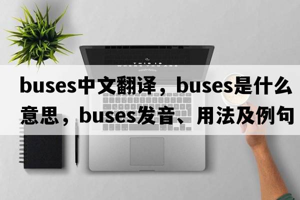buses中文翻譯，buses是什么意思，buses發(fā)音、用法及例句