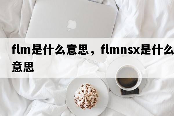 flm是什么意思，flmnsx是什么意思