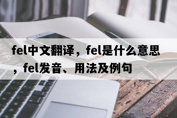 fel中文翻譯，fel是什么意思，fel發(fā)音、用法及例句