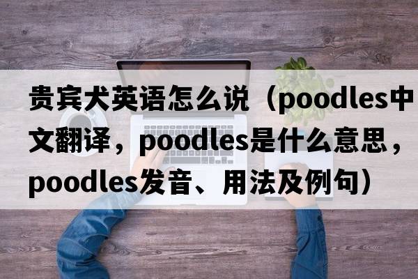 貴賓犬英語(yǔ)怎么說(shuō)（poodles中文翻譯，poodles是什么意思，poodles發(fā)音、用法及例句）