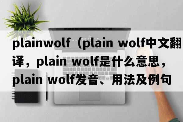 plainwolf（plain wolf中文翻譯，plain wolf是什么意思，plain wolf發(fā)音、用法及例句）