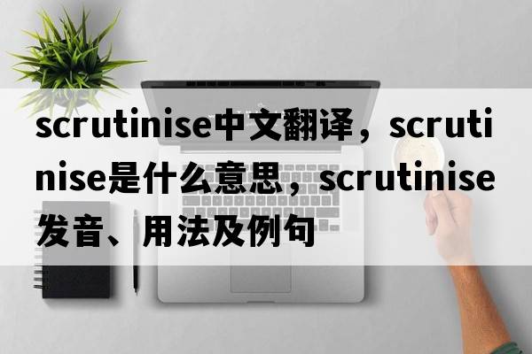 scrutinise中文翻譯，scrutinise是什么意思，scrutinise發(fā)音、用法及例句