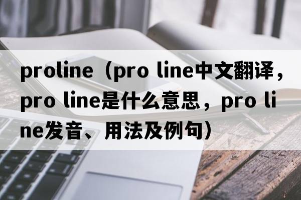 proline（pro line中文翻譯，pro line是什么意思，pro line發(fā)音、用法及例句）