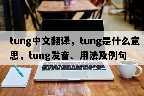 tung中文翻譯，tung是什么意思，tung發(fā)音、用法及例句