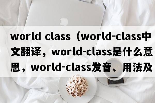 world class（world-class中文翻譯，world-class是什么意思，world-class發(fā)音、用法及例句）