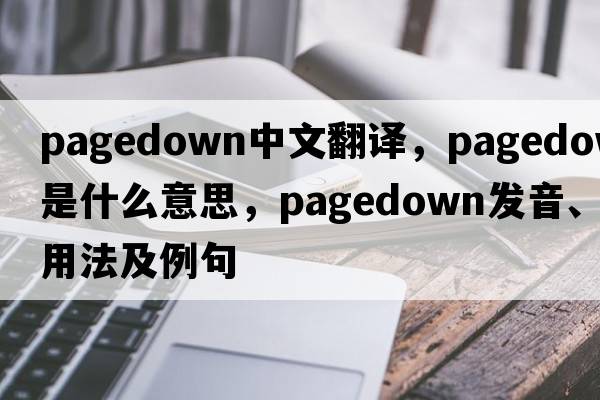 pagedown中文翻譯，pagedown是什么意思，pagedown發(fā)音、用法及例句