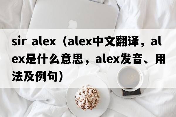 sir alex（alex中文翻譯，alex是什么意思，alex發(fā)音、用法及例句）